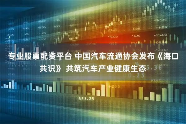 专业股票配资平台 中国汽车流通协会发布《海口共识》 共筑汽车产业健康生态